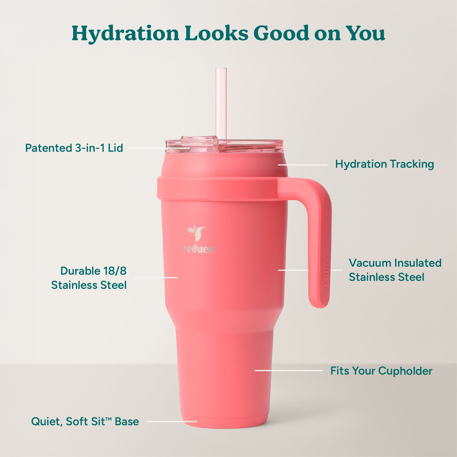 cold1-40-oz-o4 Cold1_40oz_Daiquiri_Infographic_2.jpg
