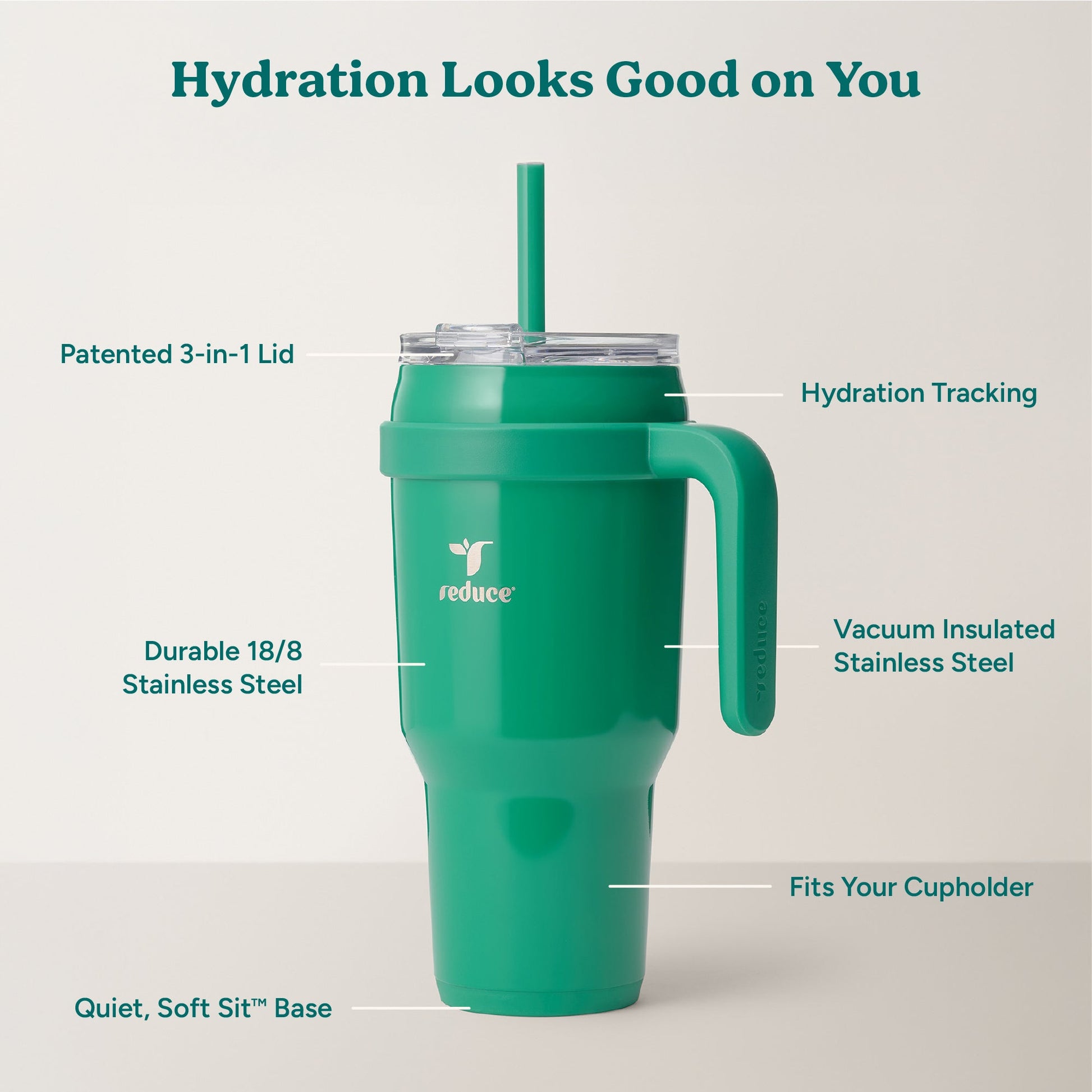 cold1-40-oz-o4 Cold1_40oz_PalmLeaf_Infographic_2.jpg
