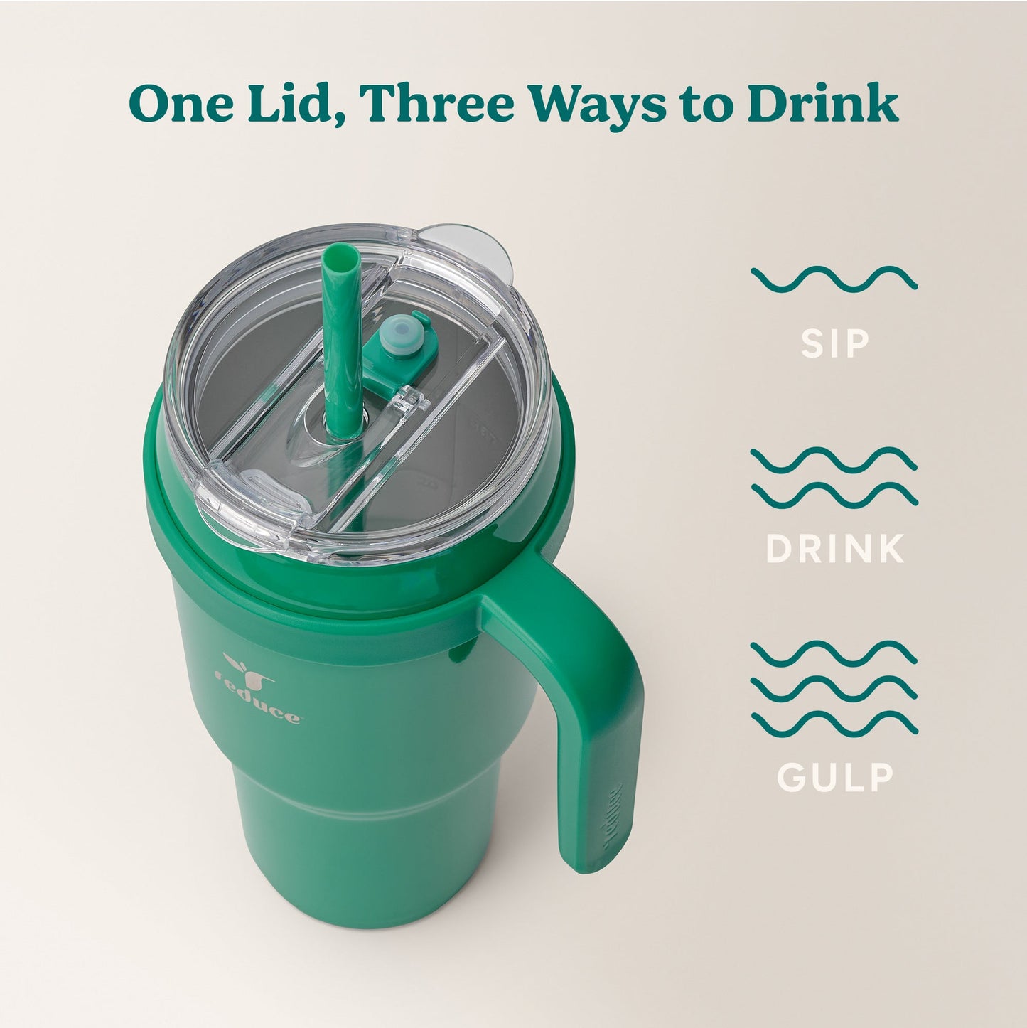 cold1-40-oz-o4 Cold1_40oz_PalmLeaf_Infographic_3.jpg