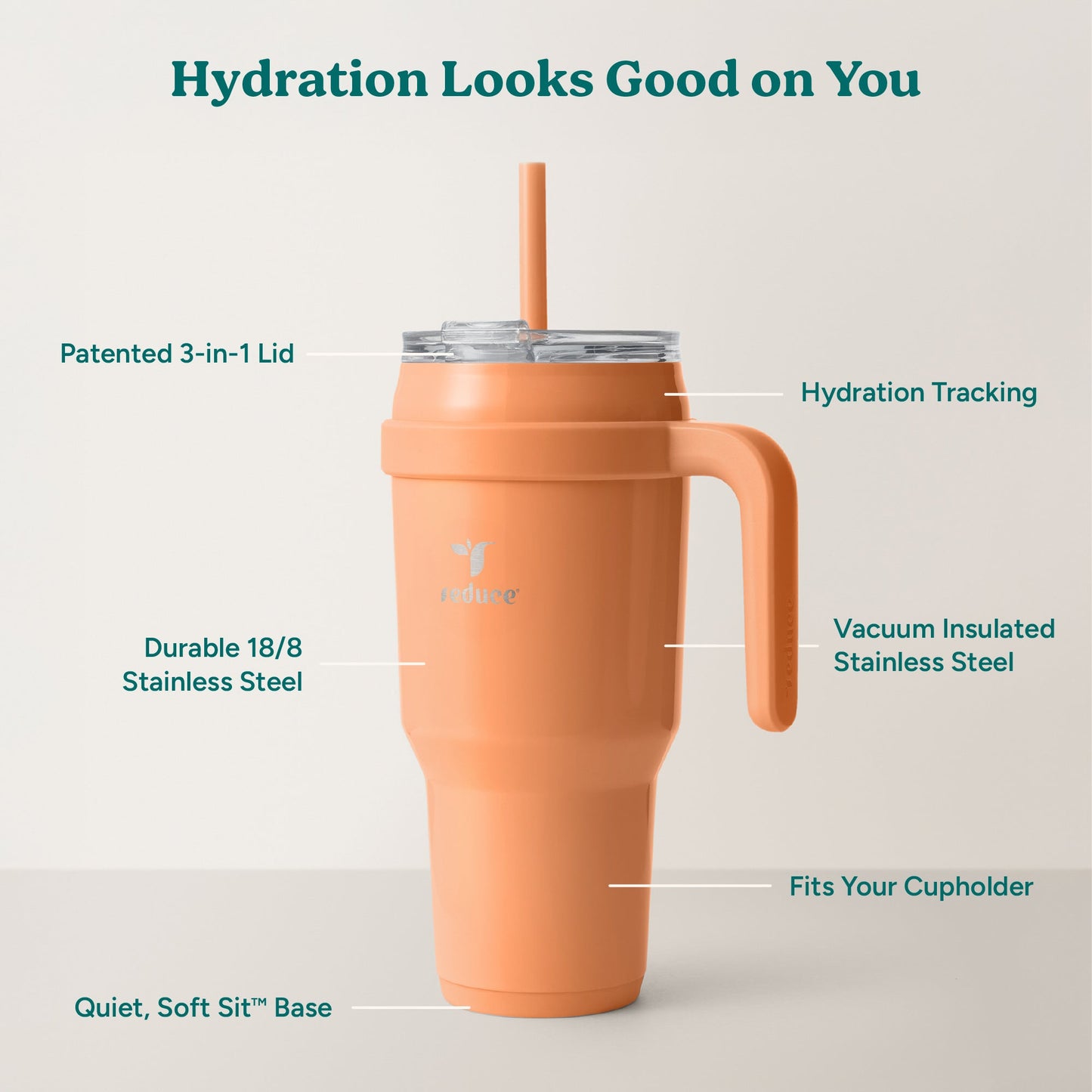 cold1-40-oz-o4 Cold1_40oz_Papaya_Infographic_2.jpg