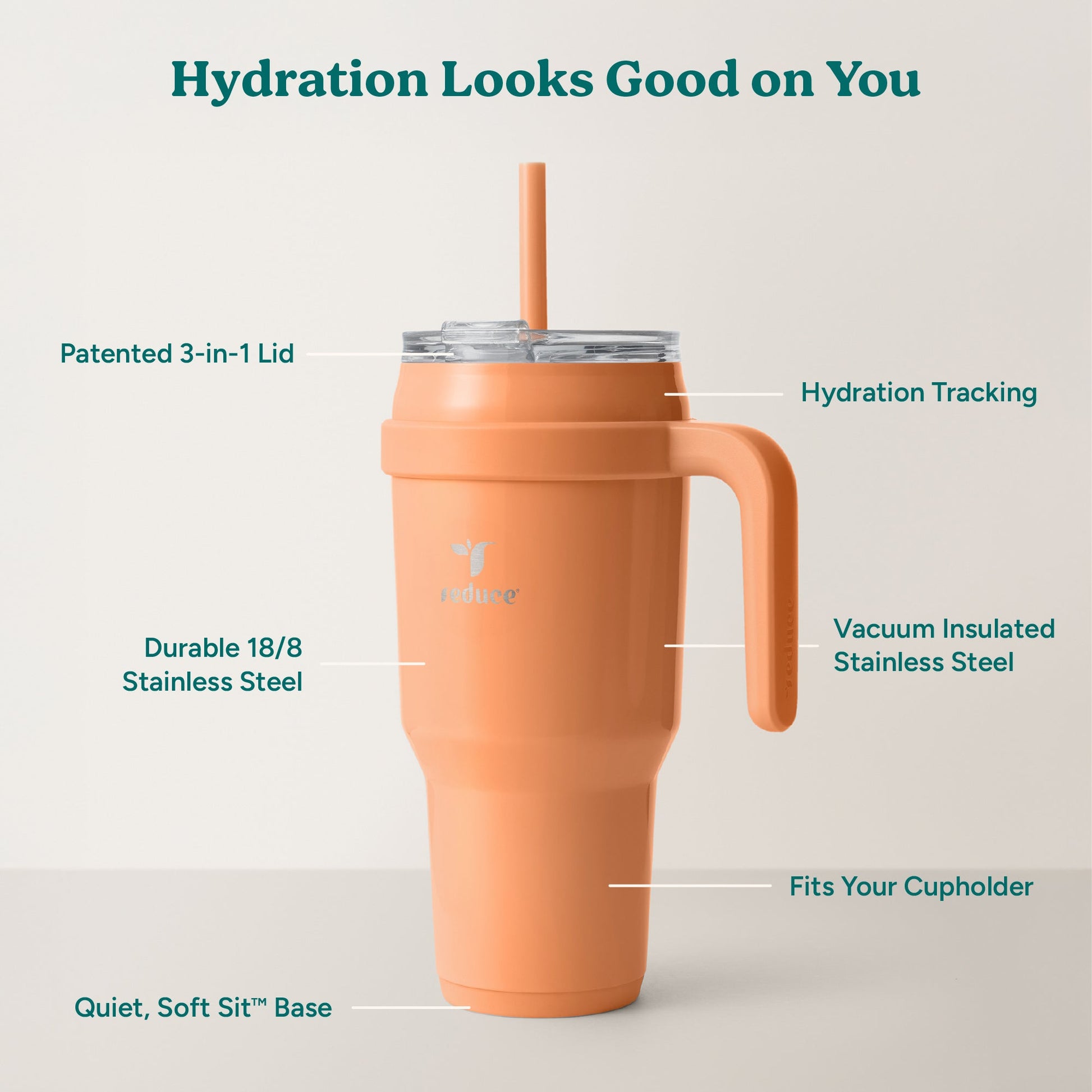 cold1-40-oz-o4 Cold1_40oz_Papaya_Infographic_2.jpg