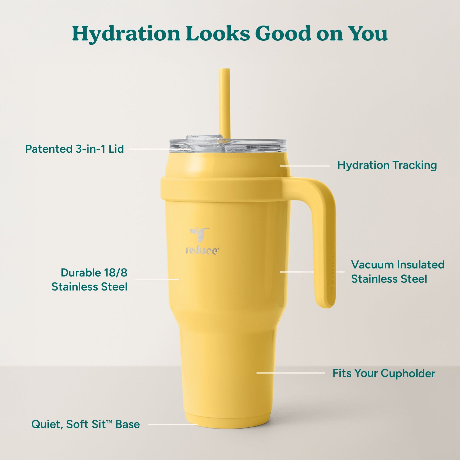 cold1-40-oz-o4 Cold1_40oz_Pineapple_Infographic_2.jpg